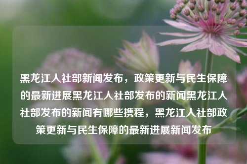 黑龙江人社部新闻发布，政策更新与民生保障的最新进展黑龙江人社部发布的新闻黑龙江人社部发布的新闻有哪些携程，黑龙江人社部政策更新与民生保障的最新进展新闻发布，黑龙江人社部政策更新与民生保障进展新闻发布