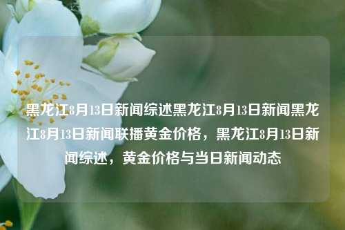 黑龙江8月13日新闻综述黑龙江8月13日新闻黑龙江8月13日新闻联播黄金价格，黑龙江8月13日新闻综述，黄金价格与当日新闻动态，8月13日黑龙江新闻综述与黄金价格动态