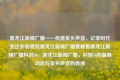 黑龙江新闻广播——传递家乡声音，记录时代变迁你给我找黑龙江新闻广播我要看黑龙江新闻广播科创50，黑龙江新闻广播，科创50的最新动态与家乡声音的传递，黑龙江新闻广播，科创50最新动态与家乡声音的传递