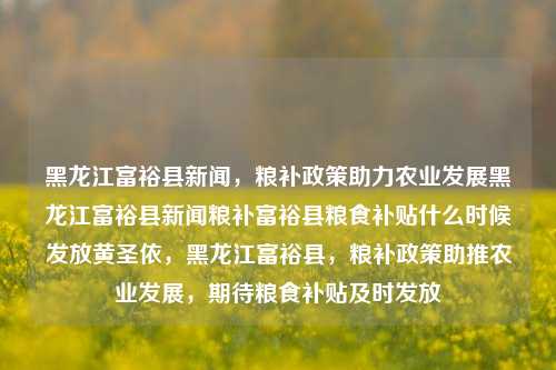 黑龙江富裕县新闻，粮补政策助力农业发展黑龙江富裕县新闻粮补富裕县粮食补贴什么时候发放黄圣依，黑龙江富裕县，粮补政策助推农业发展，期待粮食补贴及时发放，黑龙江富裕县，粮补政策助推农业发展，期待粮食补贴及时发放