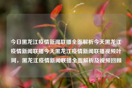 今日黑龙江疫情新闻联播全面解析今天黑龙江疫情新闻联播今天黑龙江疫情新闻联播视频叶珂，黑龙江疫情新闻联播全面解析及视频回顾，黑龙江疫情新闻联播全面解析与视频回顾