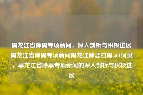 黑龙江省除黑专项新闻，深入剖析与积极进展黑龙江省除黑专项新闻黑龙江除恶扫黑,501何炅，黑龙江省除黑专项新闻的深入剖析与积极进展，黑龙江省除黑专项新闻，深入剖析与积极推进的除恶扫黑行动进展