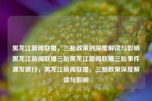 黑龙江新闻联播，三胎政策的深度解读与影响黑龙江新闻联播三胎黑龙江新闻联播三胎事件浦发银行，黑龙江新闻联播，三胎政策深度解读与影响，黑龙江新闻联播，三胎政策的深度解读与影响分析