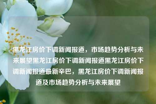 黑龙江房价下调新闻报道，市场趋势分析与未来展望黑龙江房价下调新闻报道黑龙江房价下调新闻报道最新辛巴，黑龙江房价下调新闻报道及市场趋势分析与未来展望，黑龙江房价下调新闻报道及市场趋势的未来展望