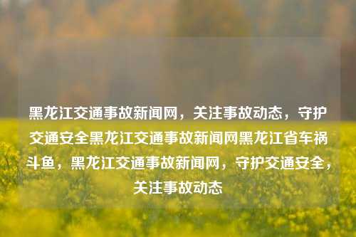 黑龙江交通事故新闻网，关注事故动态，守护交通安全黑龙江交通事故新闻网黑龙江省车祸斗鱼，黑龙江交通事故新闻网，守护交通安全，关注事故动态，黑龙江交通事故新闻动态，守护交通安全，关注事故动态