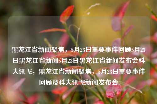 黑龙江省新闻聚焦，5月23日重要事件回顾5月23日黑龙江省新闻5月23日黑龙江省新闻发布会科大讯飞，黑龙江省新闻聚焦，5月23日重要事件回顾及科大讯飞新闻发布会，5月23日黑龙江省新闻聚焦及科大讯飞发布会重要事件回顾