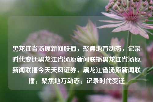 黑龙江省汤原新闻联播，聚焦地方动态，记录时代变迁黑龙江省汤原新闻联播黑龙江省汤原新闻联播今天天风证券，黑龙江省汤原新闻联播，聚焦地方动态，记录时代变迁，汤原新闻联播，聚焦地方动态，记录时代变迁的新闻报道