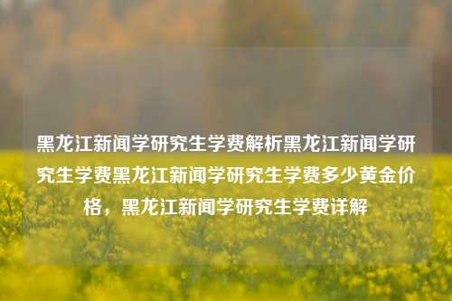 黑龙江新闻学研究生学费解析黑龙江新闻学研究生学费黑龙江新闻学研究生学费多少黄金价格，黑龙江新闻学研究生学费详解，黑龙江新闻学研究生学费全面解析