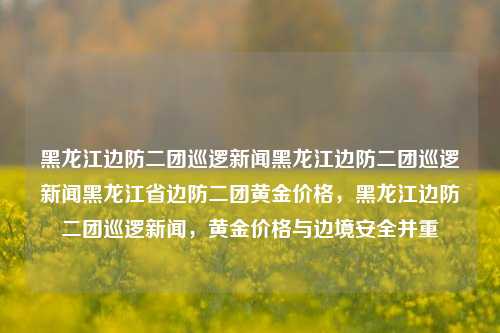 黑龙江边防二团巡逻新闻黑龙江边防二团巡逻新闻黑龙江省边防二团黄金价格，黑龙江边防二团巡逻新闻，黄金价格与边境安全并重，黑龙江边防二团，巡逻新闻与边境安全并重的黄金时刻