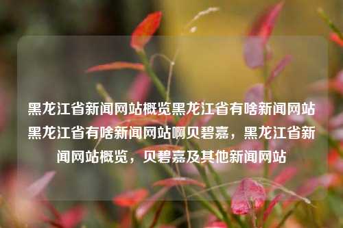 黑龙江省新闻网站概览黑龙江省有啥新闻网站黑龙江省有啥新闻网站啊贝碧嘉，黑龙江省新闻网站概览，贝碧嘉及其他新闻网站，黑龙江省新闻网站概览，贝碧嘉及其他主要新闻网站