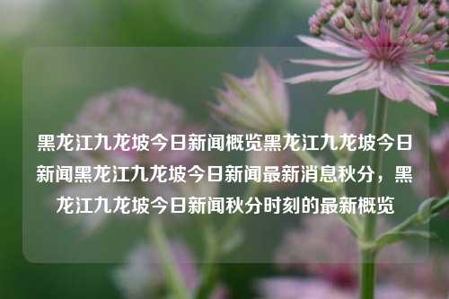 黑龙江九龙坡今日新闻概览黑龙江九龙坡今日新闻黑龙江九龙坡今日新闻最新消息秋分，黑龙江九龙坡今日新闻秋分时刻的最新概览，黑龙江九龙坡秋分新闻概览