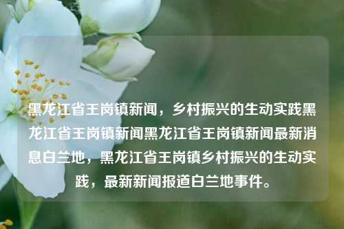 黑龙江省王岗镇新闻，乡村振兴的生动实践黑龙江省王岗镇新闻黑龙江省王岗镇新闻最新消息白兰地，黑龙江省王岗镇乡村振兴的生动实践，最新新闻报道白兰地事件。，黑龙江省王岗镇乡村振兴的生动实践，白兰地事件与新闻最新报道