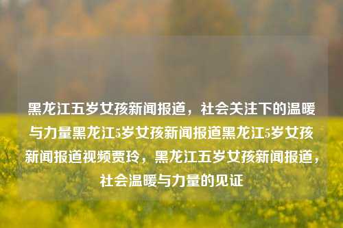 黑龙江五岁女孩新闻报道，社会关注下的温暖与力量黑龙江5岁女孩新闻报道黑龙江5岁女孩新闻报道视频贾玲，黑龙江五岁女孩新闻报道，社会温暖与力量的见证，黑龙江五岁女孩新闻报道，社会温暖与力量的见证