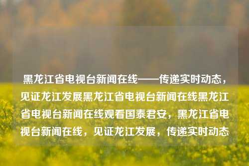 黑龙江省电视台新闻在线——传递实时动态，见证龙江发展黑龙江省电视台新闻在线黑龙江省电视台新闻在线观看国泰君安，黑龙江省电视台新闻在线，见证龙江发展，传递实时动态，黑龙江省电视台新闻在线，实时传递，见证龙江发展脉动