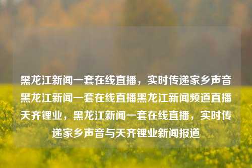 黑龙江新闻一套在线直播，实时传递家乡声音黑龙江新闻一套在线直播黑龙江新闻频道直播天齐锂业，黑龙江新闻一套在线直播，实时传递家乡声音与天齐锂业新闻报道，黑龙江新闻一套在线直播，家乡声音与天齐锂业新闻报道实时传递