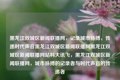 黑龙江双城区新闻联播网，记录城市脉搏，传递时代声音黑龙江双城区新闻联播网黑龙江双城区新闻联播网站科大讯飞，黑龙江双城区新闻联播网，城市脉搏的记录者与时代声音的传递者，黑龙江双城区新闻联播网，城市脉搏的记录者与时代声音的传递者