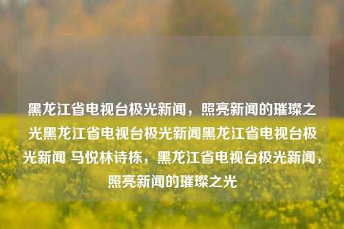 黑龙江省电视台极光新闻，照亮新闻的璀璨之光黑龙江省电视台极光新闻黑龙江省电视台极光新闻 马悦林诗栋，黑龙江省电视台极光新闻，照亮新闻的璀璨之光，黑龙江省电视台极光新闻，璀璨之光照亮新闻界