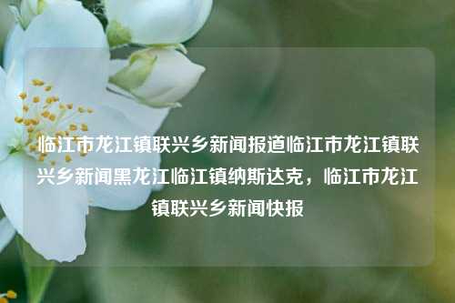 临江市龙江镇联兴乡新闻报道临江市龙江镇联兴乡新闻黑龙江临江镇纳斯达克，临江市龙江镇联兴乡新闻快报，临江市龙江镇联兴乡新闻快报，纳斯达克动态与地方新闻概览