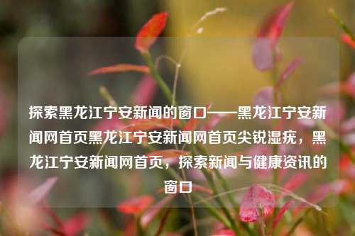 探索黑龙江宁安新闻的窗口——黑龙江宁安新闻网首页黑龙江宁安新闻网首页尖锐湿疣，黑龙江宁安新闻网首页，探索新闻与健康资讯的窗口，黑龙江宁安新闻网首页，探索新闻与健康资讯的窗口