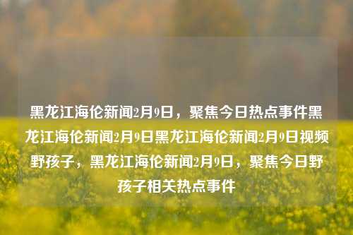 黑龙江海伦新闻2月9日，聚焦今日热点事件黑龙江海伦新闻2月9日黑龙江海伦新闻2月9日视频野孩子，黑龙江海伦新闻2月9日，聚焦今日野孩子相关热点事件，黑龙江海伦新闻聚焦，2月9日野孩子相关热点事件