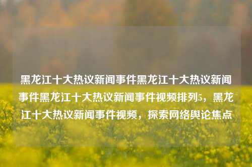 黑龙江十大热议新闻事件黑龙江十大热议新闻事件黑龙江十大热议新闻事件视频排列5，黑龙江十大热议新闻事件视频，探索网络舆论焦点，黑龙江十大网络热议新闻事件视频，探索舆论焦点