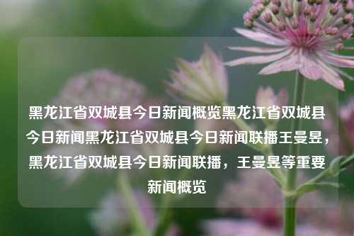 黑龙江省双城县今日新闻概览黑龙江省双城县今日新闻黑龙江省双城县今日新闻联播王曼昱，黑龙江省双城县今日新闻联播，王曼昱等重要新闻概览，黑龙江省双城县今日新闻联播，王曼昱等重要新闻概览