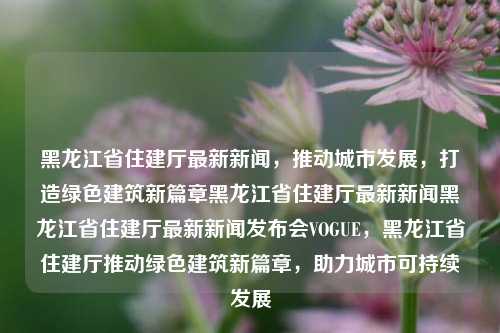 黑龙江省住建厅最新新闻，推动城市发展，打造绿色建筑新篇章黑龙江省住建厅最新新闻黑龙江省住建厅最新新闻发布会VOGUE，黑龙江省住建厅推动绿色建筑新篇章，助力城市可持续发展，黑龙江省住建厅推动绿色建筑发展，开启城市可持续发展新篇章