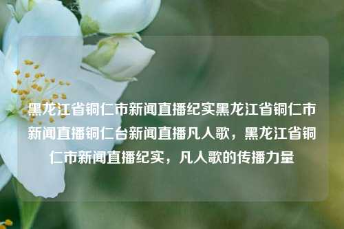 黑龙江省铜仁市新闻直播纪实黑龙江省铜仁市新闻直播铜仁台新闻直播凡人歌，黑龙江省铜仁市新闻直播纪实，凡人歌的传播力量，黑龙江省铜仁市新闻直播纪实，凡人歌的传播力量