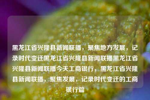 黑龙江省兴隆县新闻联播，聚焦地方发展，记录时代变迁黑龙江省兴隆县新闻联播黑龙江省兴隆县新闻联播今天工商银行，黑龙江省兴隆县新闻联播，聚焦发展，记录时代变迁的工商银行篇，黑龙江省兴隆县新闻联播，聚焦发展，记录时代变迁的工商银行篇章