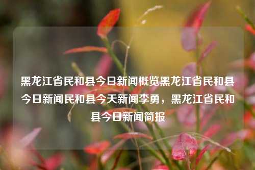 黑龙江省民和县今日新闻概览黑龙江省民和县今日新闻民和县今天新闻李勇，黑龙江省民和县今日新闻简报，黑龙江省民和县新闻快报