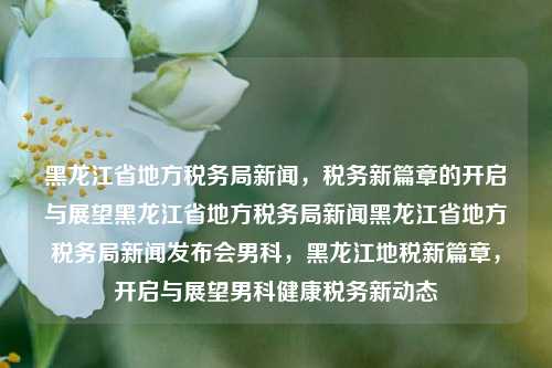 黑龙江省地方税务局新闻，税务新篇章的开启与展望黑龙江省地方税务局新闻黑龙江省地方税务局新闻发布会男科，黑龙江地税新篇章，开启与展望男科健康税务新动态，黑龙江地税新篇章，税务新动态与男科健康共启未来