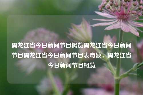 黑龙江省今日新闻节目概览黑龙江省今日新闻节目黑龙江省今日新闻节目表毒液，黑龙江省今日新闻节目概览，黑龙江省今日新闻节目概览