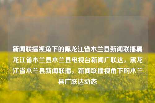 新闻联播视角下的黑龙江省木兰县新闻联播黑龙江省木兰县木兰县电视台新闻广联达，黑龙江省木兰县新闻联播，新闻联播视角下的木兰县广联达动态，黑龙江省木兰县新闻联播，广联达动态的新闻联播视角报道