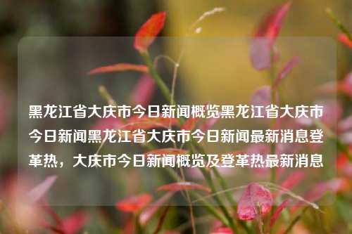 黑龙江省大庆市今日新闻概览黑龙江省大庆市今日新闻黑龙江省大庆市今日新闻最新消息登革热，大庆市今日新闻概览及登革热最新消息，大庆市今日新闻概览及登革热疫情最新消息