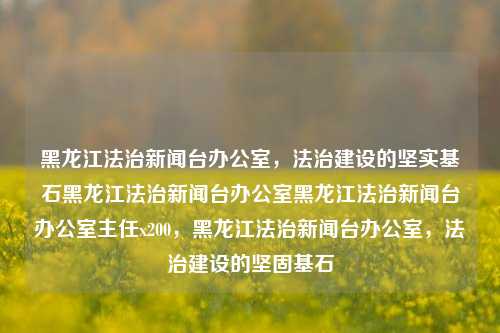 黑龙江法治新闻台办公室，法治建设的坚实基石黑龙江法治新闻台办公室黑龙江法治新闻台办公室主任x200，黑龙江法治新闻台办公室，法治建设的坚固基石，黑龙江法治新闻台办公室，法治建设的坚固基石