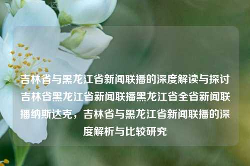 吉林省与黑龙江省新闻联播的深度解读与探讨吉林省黑龙江省新闻联播黑龙江省全省新闻联播纳斯达克，吉林省与黑龙江省新闻联播的深度解析与比较研究，吉林省与黑龙江省新闻联播的深度解析与比较研究