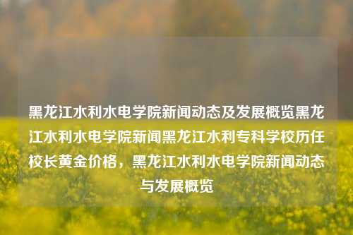 黑龙江水利水电学院新闻动态及发展概览黑龙江水利水电学院新闻黑龙江水利专科学校历任校长黄金价格，黑龙江水利水电学院新闻动态与发展概览，黑龙江水利水电学院新闻动态与发展概览