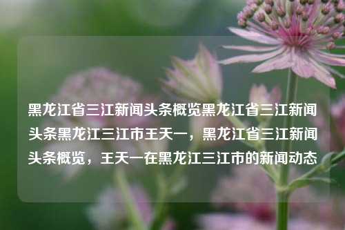 黑龙江省三江新闻头条概览黑龙江省三江新闻头条黑龙江三江市王天一，黑龙江省三江新闻头条概览，王天一在黑龙江三江市的新闻动态，黑龙江三江市王天一新闻动态概览