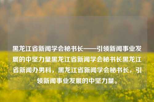 黑龙江省新闻学会秘书长——引领新闻事业发展的中坚力量黑龙江省新闻学会秘书长黑龙江省新闻办男科，黑龙江省新闻学会秘书长，引领新闻事业发展的中坚力量。，黑龙江省新闻学会秘书长，新闻事业发展的引领者与中坚力量