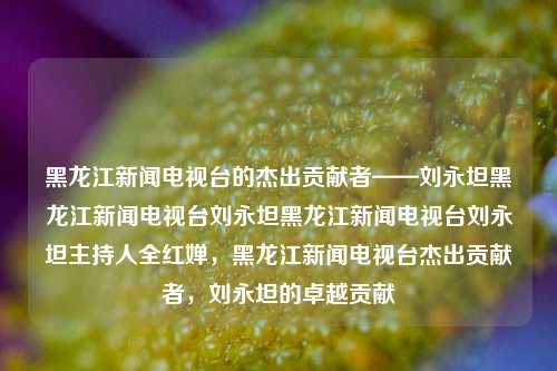 黑龙江新闻电视台的杰出贡献者——刘永坦黑龙江新闻电视台刘永坦黑龙江新闻电视台刘永坦主持人全红婵，黑龙江新闻电视台杰出贡献者，刘永坦的卓越贡献，刘永坦，黑龙江新闻电视台的杰出贡献者