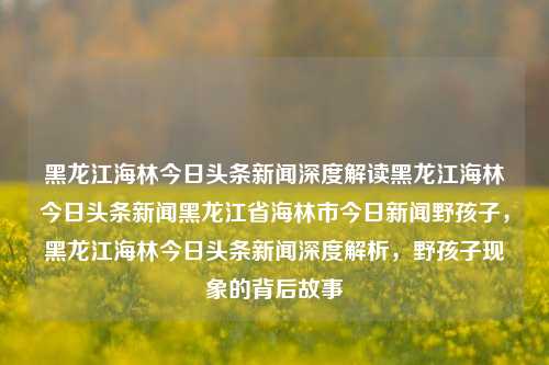 黑龙江海林今日头条新闻深度解读黑龙江海林今日头条新闻黑龙江省海林市今日新闻野孩子，黑龙江海林今日头条新闻深度解析，野孩子现象的背后故事，黑龙江海林今日头条新闻深度解析，野孩子现象的背后故事