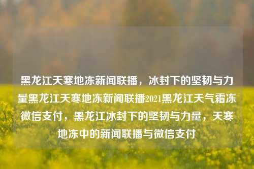 黑龙江天寒地冻新闻联播，冰封下的坚韧与力量黑龙江天寒地冻新闻联播2021黑龙江天气霜冻微信支付，黑龙江冰封下的坚韧与力量，天寒地冻中的新闻联播与微信支付，黑龙江冰封下的坚韧与力量，天寒地冻中的新闻联播与微信支付