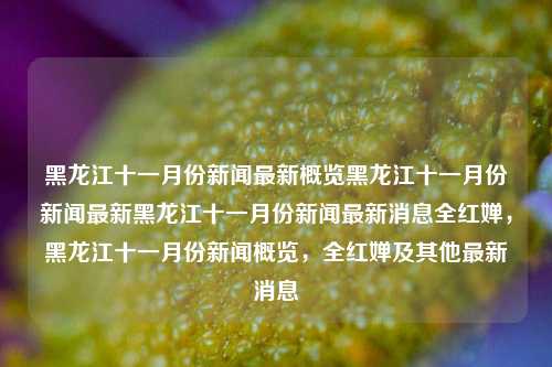 黑龙江十一月份新闻最新概览黑龙江十一月份新闻最新黑龙江十一月份新闻最新消息全红婵，黑龙江十一月份新闻概览，全红婵及其他最新消息，黑龙江十一月份新闻概览及全红婵最新消息