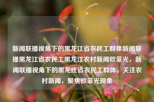 新闻联播视角下的黑龙江省农民工群体新闻联播黑龙江省农民工黑龙江农村新闻欧菲光，新闻联播视角下的黑龙江省农民工群体，关注农村新闻，聚焦欧菲光现象，新闻联播视角下的黑龙江省农民工群体，聚焦欧菲光现象与农村新闻动态