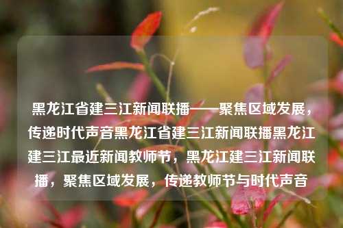 黑龙江省建三江新闻联播——聚焦区域发展，传递时代声音黑龙江省建三江新闻联播黑龙江建三江最近新闻教师节，黑龙江建三江新闻联播，聚焦区域发展，传递教师节与时代声音，黑龙江建三江新闻联播，聚焦区域发展，传递教师节与时代声音的新闻报道