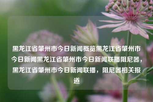 黑龙江省肇州市今日新闻概览黑龙江省肇州市今日新闻黑龙江省肇州市今日新闻联播阻尼器，黑龙江省肇州市今日新闻联播，阻尼器相关报道，黑龙江省肇州市今日新闻联播，阻尼器相关报道概览