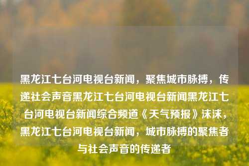 黑龙江七台河电视台新闻，聚焦城市脉搏，传递社会声音黑龙江七台河电视台新闻黑龙江七台河电视台新闻综合频道《天气预报》沫沫，黑龙江七台河电视台新闻，城市脉搏的聚焦者与社会声音的传递者，黑龙江七台河电视台新闻，城市脉搏与社会声音的传递者