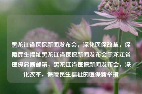 黑龙江省医保新闻发布会，深化医保改革，保障民生福祉黑龙江省医保新闻发布会黑龙江省医保总局邮箱，黑龙江省医保新闻发布会，深化改革，保障民生福祉的医保新举措，黑龙江省医保新闻发布会，深化改革，保障民生福祉的医保新举措与实践进展