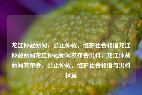 龙江仲裁新闻，公正仲裁，维护社会和谐龙江仲裁新闻龙江仲裁新闻发布会男科，龙江仲裁新闻发布会，公正仲裁，维护社会和谐与男科权益，龙江仲裁新闻发布会，公正仲裁，守护社会和谐与男科权益的桥梁