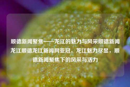 顺德新闻聚焦——龙江的魅力与风采顺德新闻龙江顺德龙江新闻网亚冠，龙江魅力尽显，顺德新闻聚焦下的风采与活力，龙江魅力尽显，顺德新闻聚焦下的风采与活力